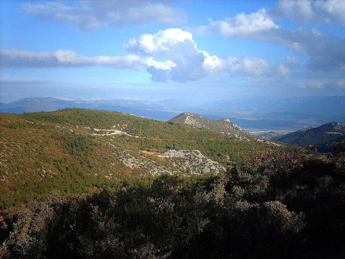 Osmaneli, Bilecik