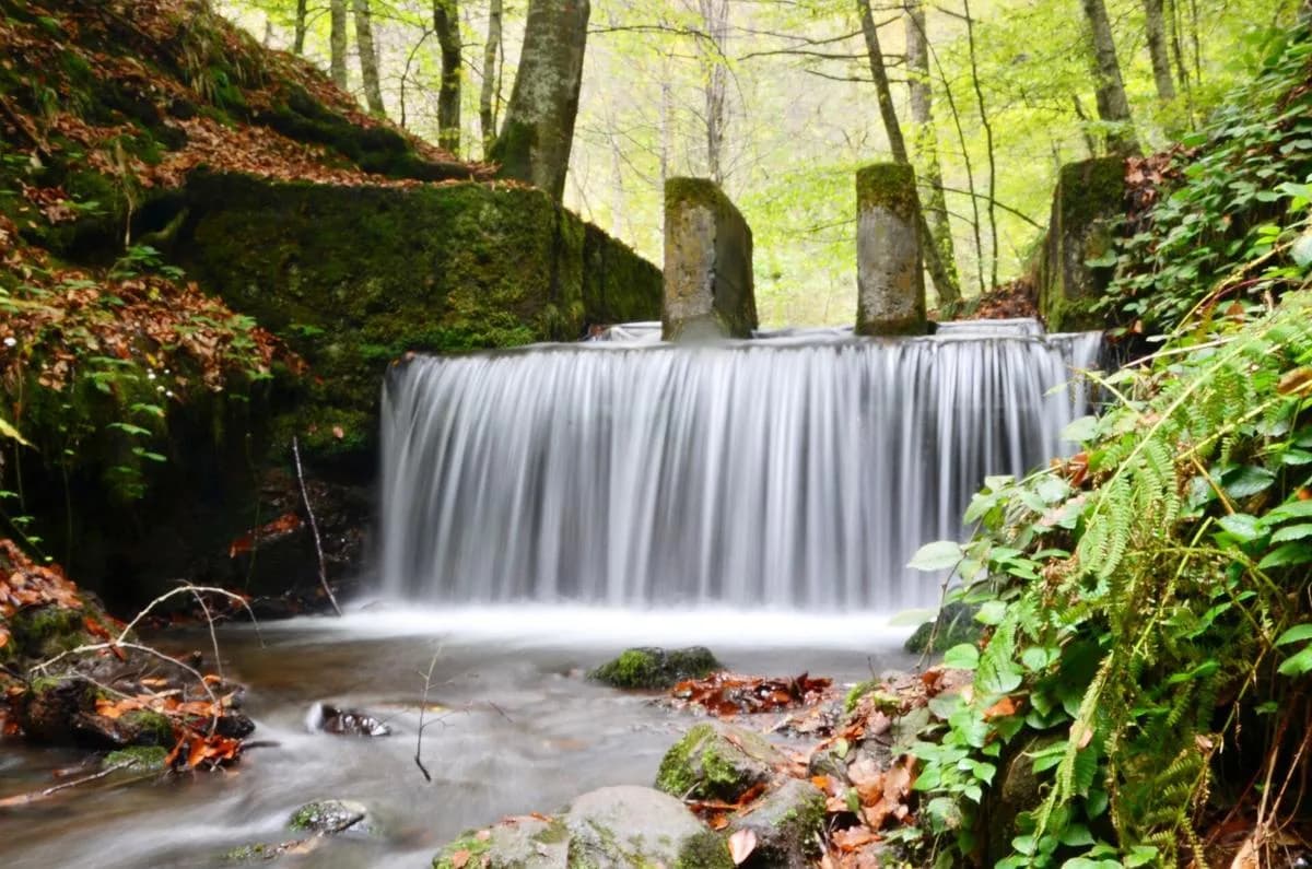 Yedigöller Millî Parkı, Bolu