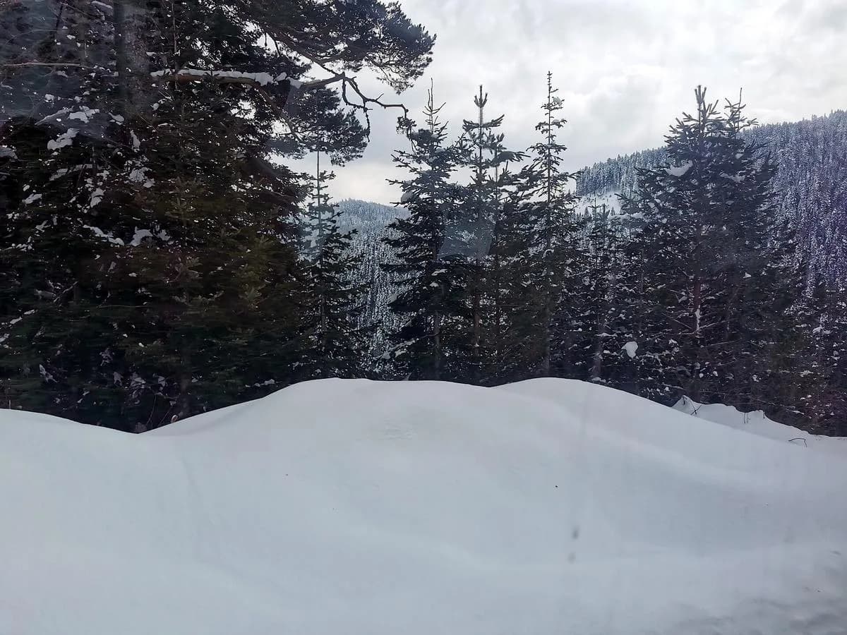 Ilgaz Mountain, Çankırı