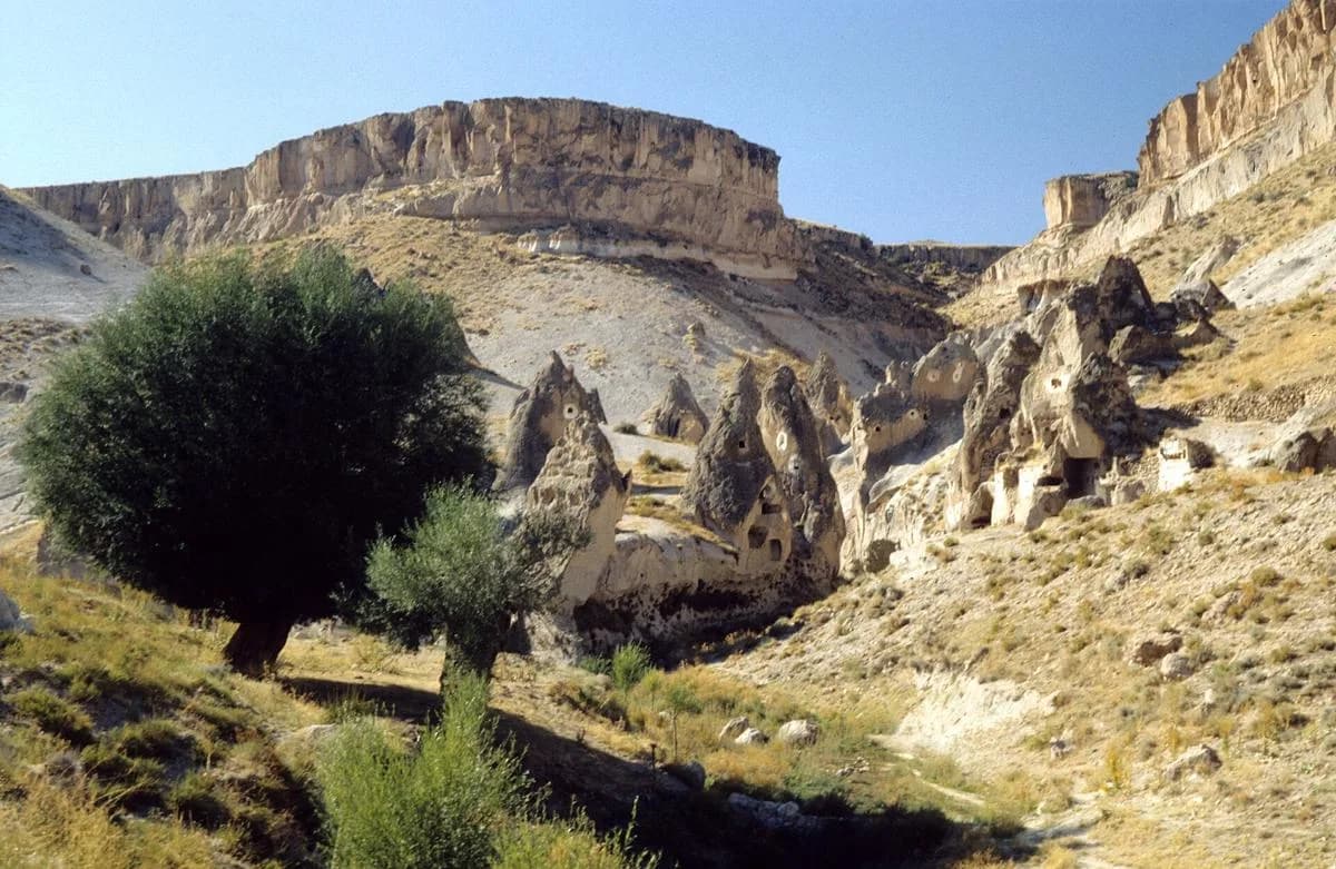Soğanlı, Kayseri