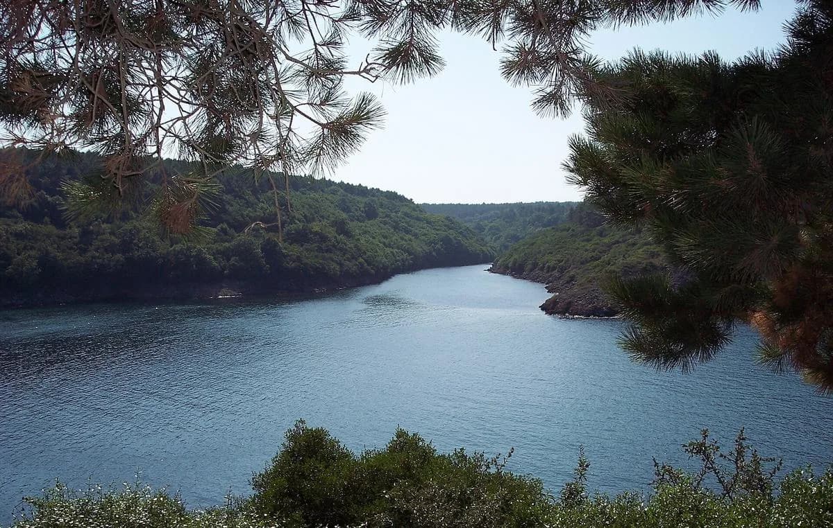Hamsilos Koyu, Sinop