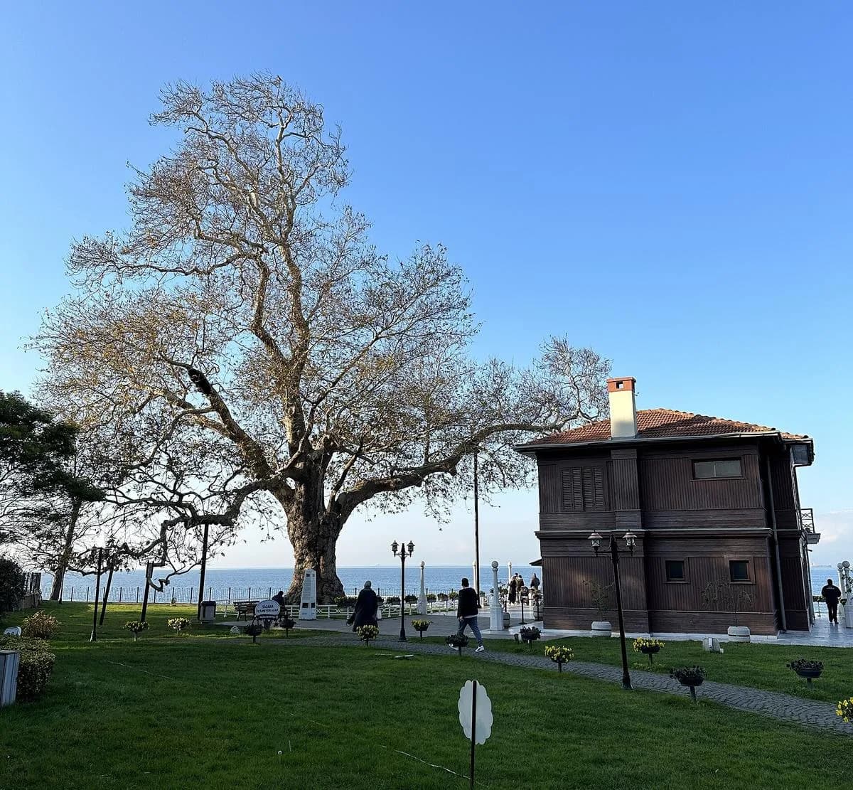 Yürüyen Köşk, Yalova