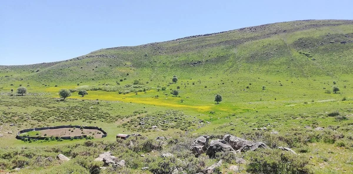 Bingöl yayla, Bingöl