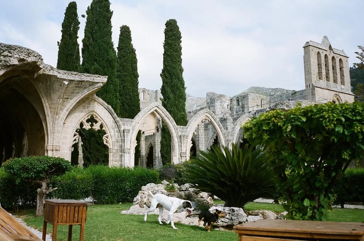 Bellapais Abbey, Girne