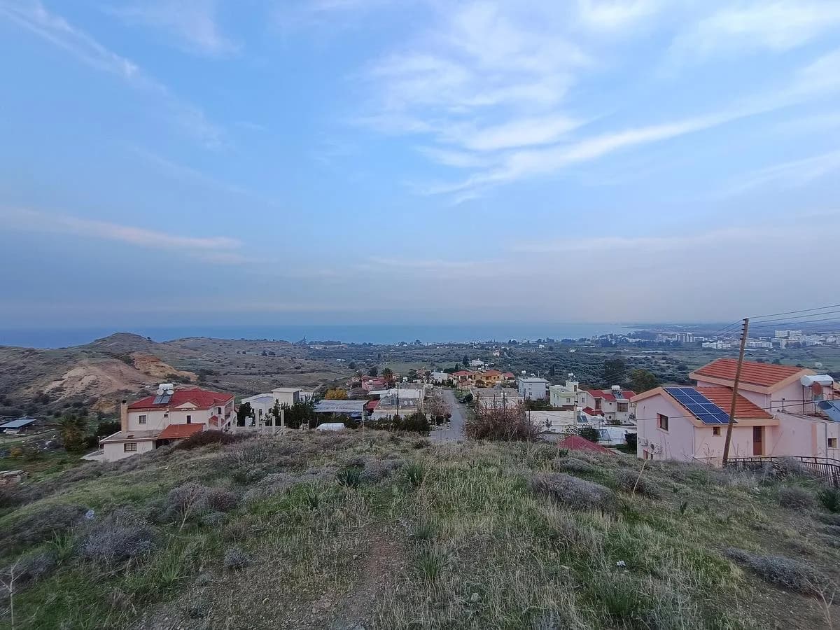 Morphou Bay, Güzelyurt