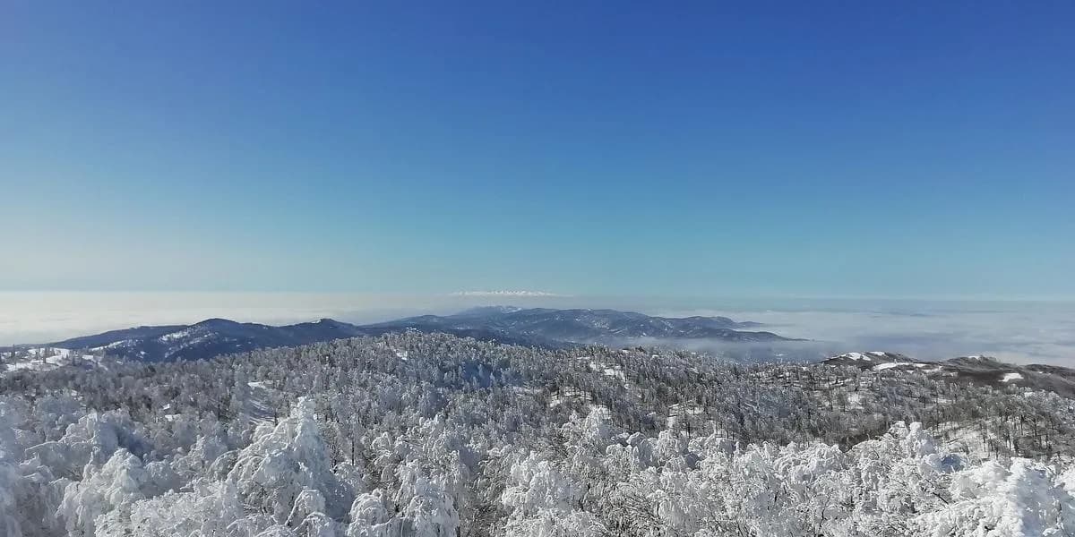 Kartepe forest, Kocaeli