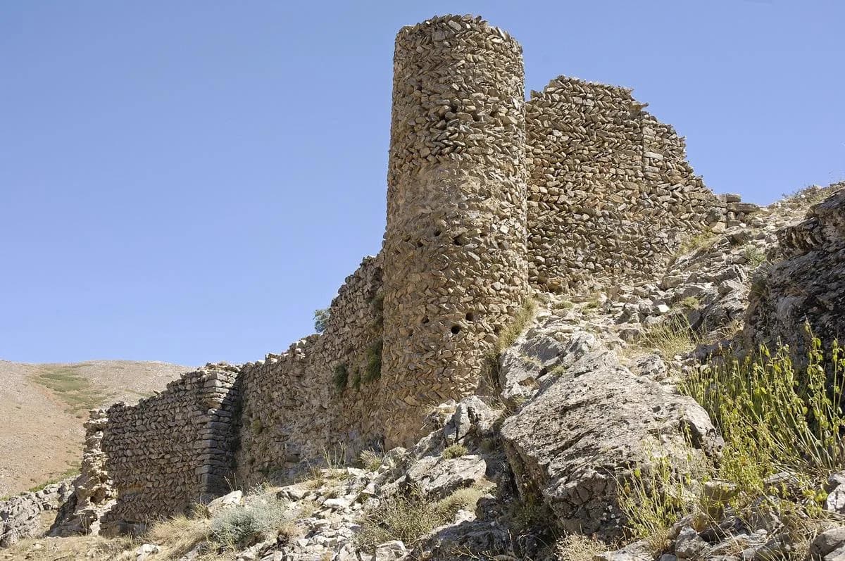 Haspet Kalesi, Muş